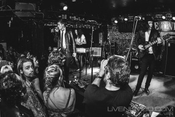 Head of the Heard at Horseshoe Tavern