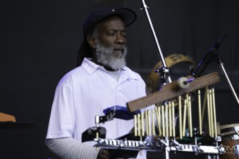 Messenjah at Ottawa Folk Fest