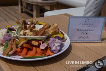 Cabana Pool Bar Grand Opening