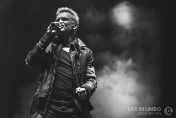 Billy Idol at Riot Fest Chicago, 2015