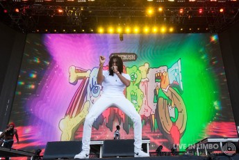 flatbushzombies-panoramanyc-07242016-3