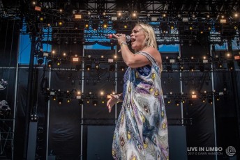 Dani Strong - Boots and Hearts