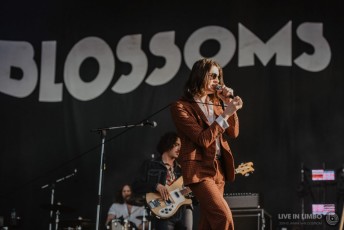 Blossoms_CommunityFestival_2019-5
