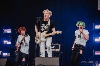 SWMRS_CommuintyFestival_2019-5