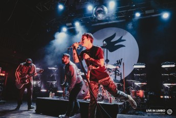 3-silverstein-2023-DSCF9713