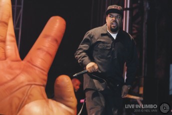 Ice Cube at Riot Fest Chicago, 2015