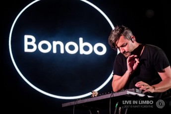 2-Bonobo_Danforth-2017-7