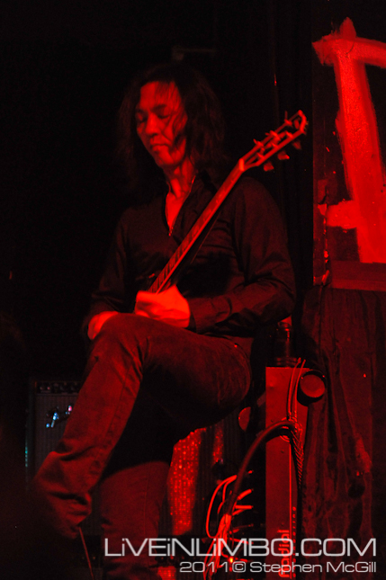 boris toronto photos