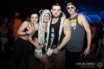EDM Fans at Solaris Festival 2015
