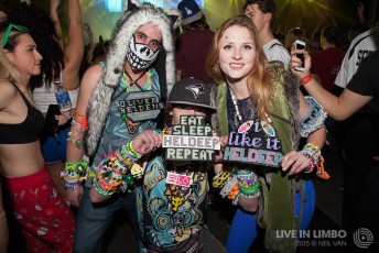 EDM Fans at Solaris Festival 2015