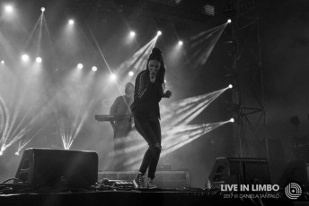 amyshark_Groovinthemoo2017-1