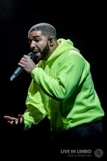 Drake at Gov Ball 2015